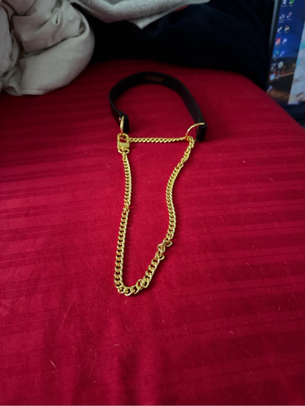 Gold Chain collar with Black Leather Band